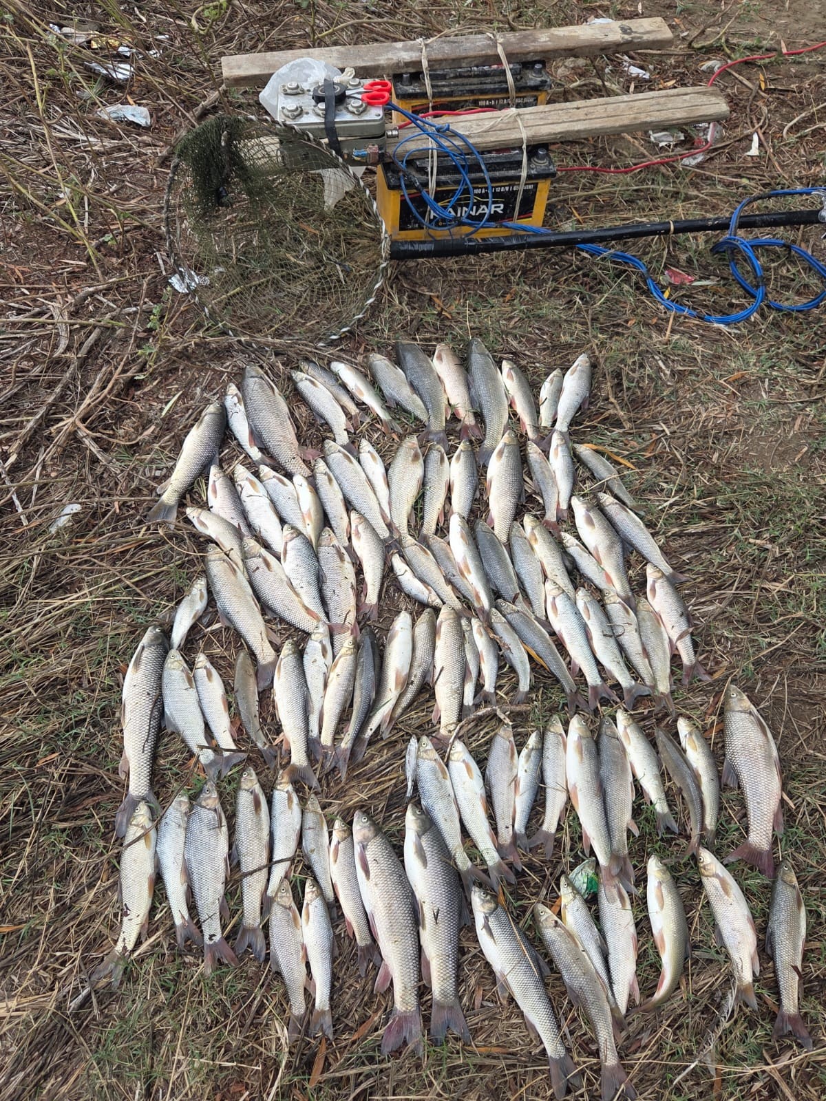 Mingəçevir su anbarında qanunsuz balıq ovu aşkarlanıb - FOTOLAR